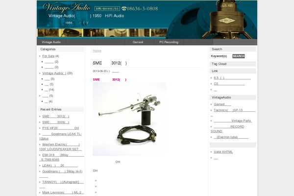 Stingerplus theme site design template sample