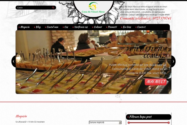 Stylish theme site design template sample