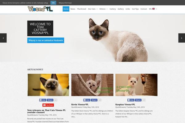 Elegant theme site design template sample