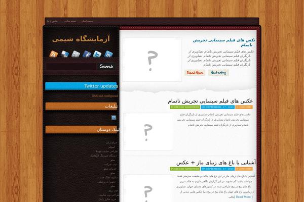 Irene theme site design template sample