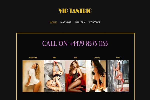 SuevaFree theme site design template sample