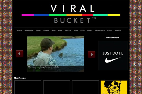 Videozoom theme site design template sample