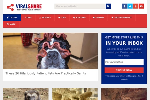 SociallyViral theme site design template sample