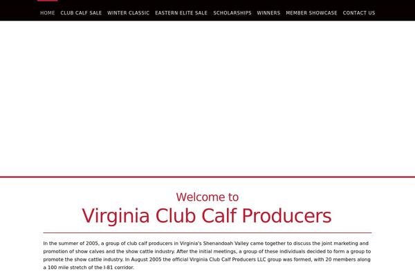 X Child theme site design template sample