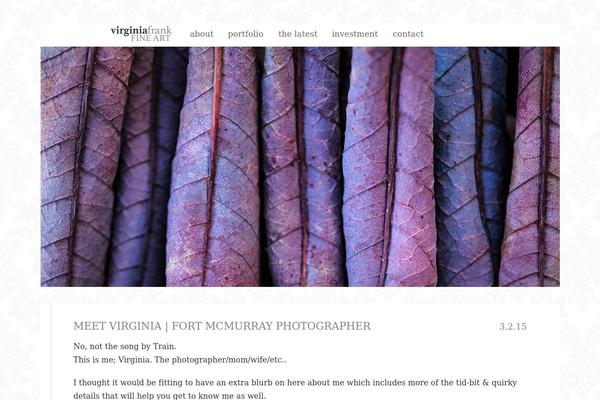 Prophoto4 theme site design template sample