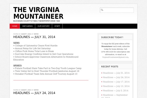 Diginews theme site design template sample