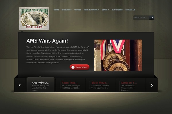 13Floor theme site design template sample