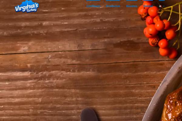 TheFox theme site design template sample