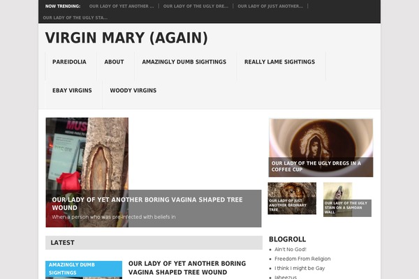 Point theme site design template sample