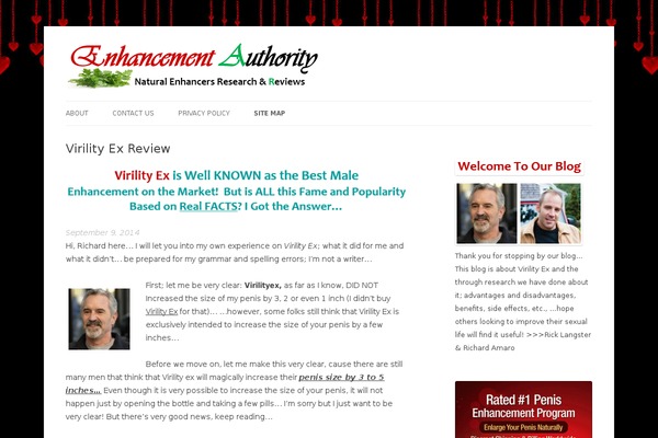 Schema Lite theme site design template sample