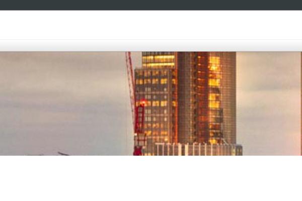 Netstudio-wp theme site design template sample