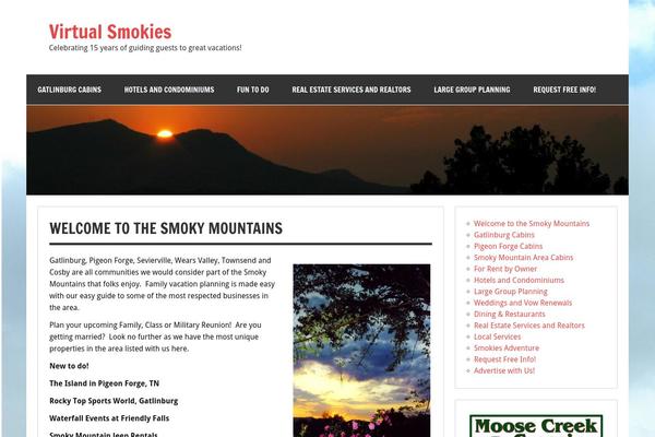 Dynamic News Lite theme site design template sample