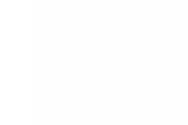 Site using Revslider-revealer-addon plugin