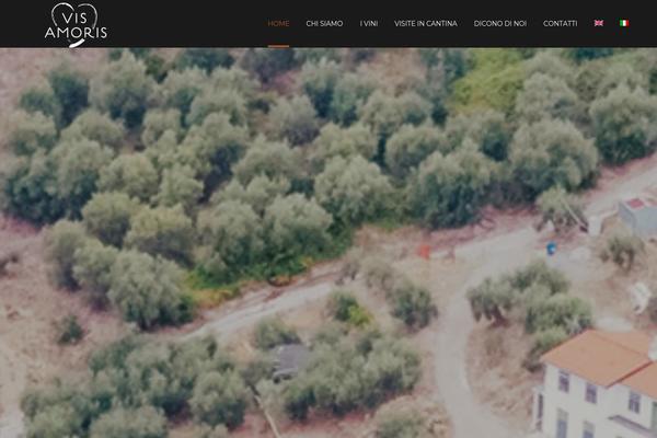 visamoris.it site used Composer-child