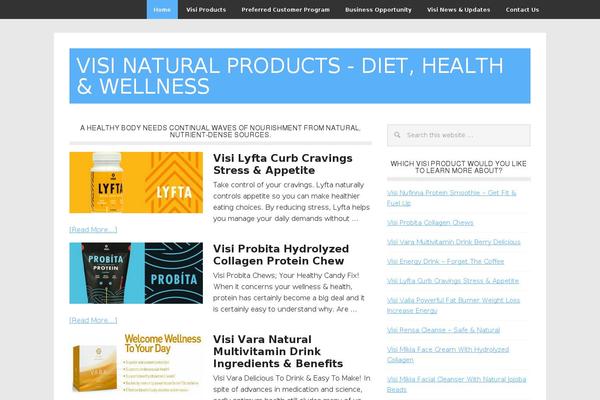 Metro Pro theme site design template sample
