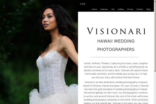 ichiban-child theme websites examples