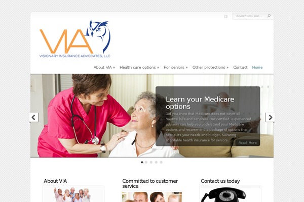 Chameleon theme site design template sample