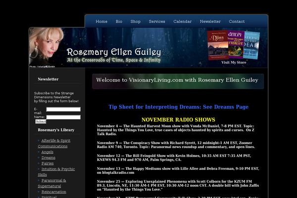 theme538 theme websites examples