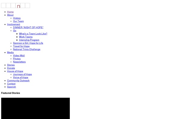 Site using fw-vimeo-videowall plugin