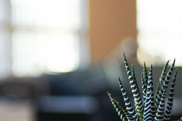 Storefront theme site design template sample