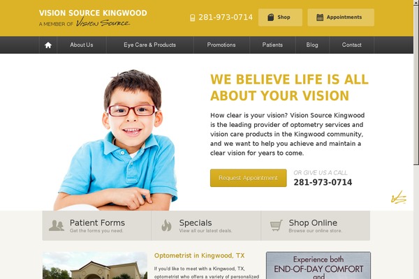 visionsource-kingwood.com site used Fs1