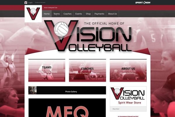 Vision theme site design template sample