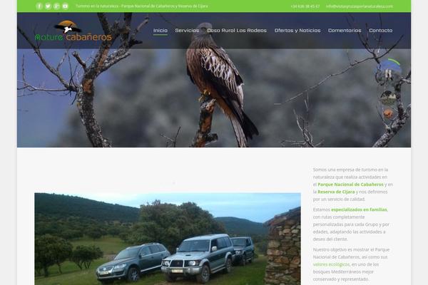 Site using Google Language Translator plugin