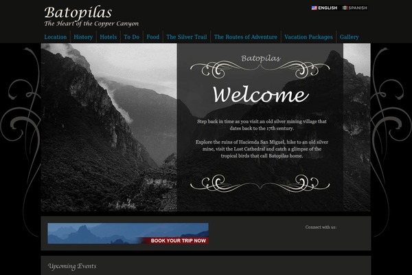 Devision theme site design template sample