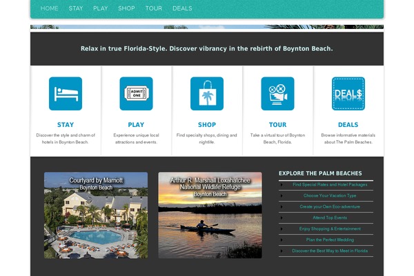 Arctica theme site design template sample