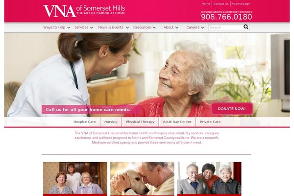 vna theme websites examples