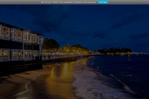 Norris theme site design template sample