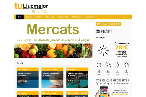 NewStone theme site design template sample