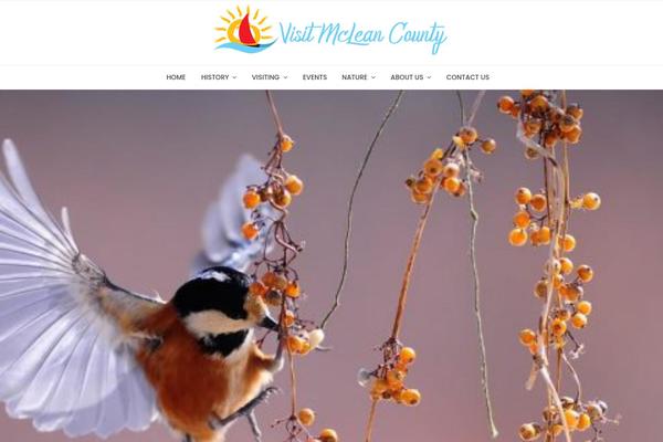 Site using Slider-images plugin