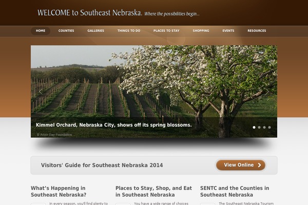 Divi theme site design template sample