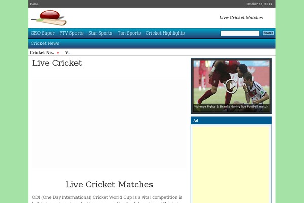 sports-lite theme websites examples