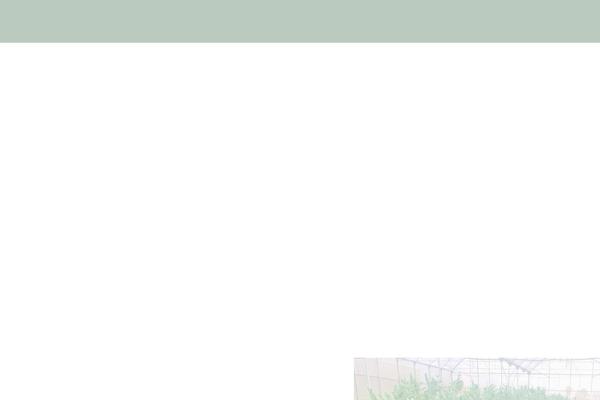Site using Blo-essential plugin
