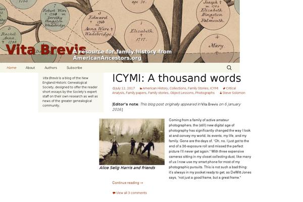vita-brevis.org site used Twentythirteen Child