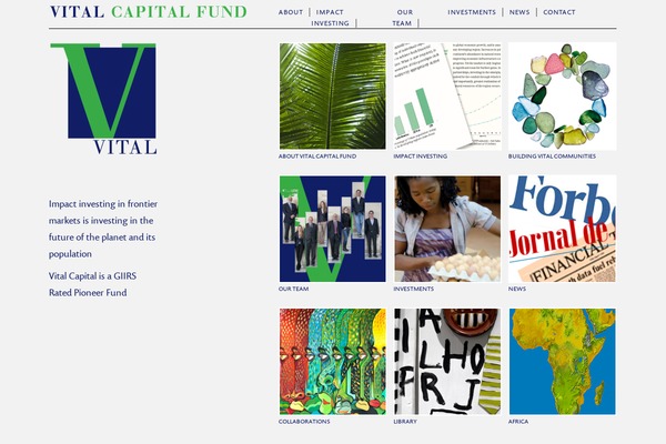 Roots-mipo theme site design template sample