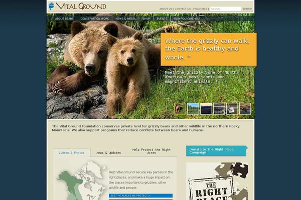 Site using Dreamgrow Scroll Triggered Box plugin