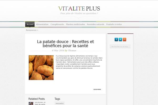 Magnificent theme site design template sample