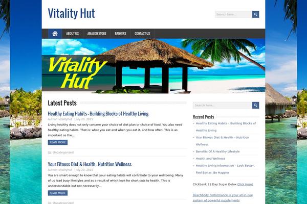 MineZine theme site design template sample