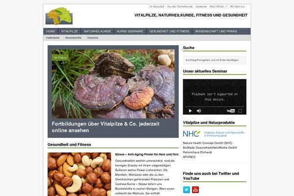 MH Magazine theme site design template sample