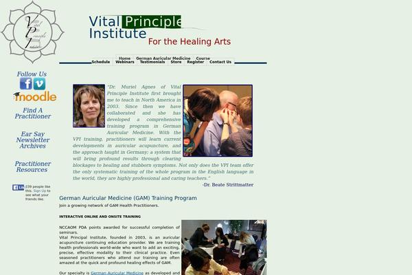Vicem theme site design template sample