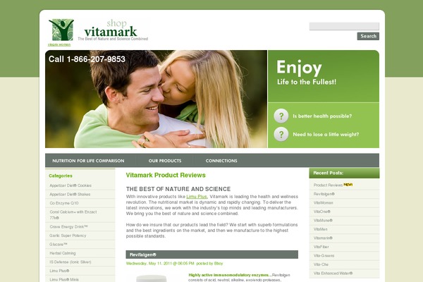 Theme993 theme site design template sample