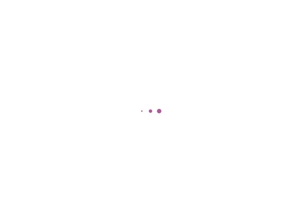Site using Clever-mega-menu plugin