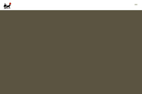 Site using Rocket-lazy-load plugin