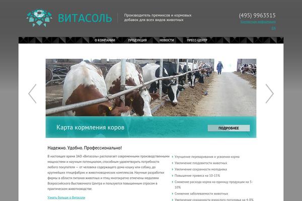 Html5blank-master theme site design template sample