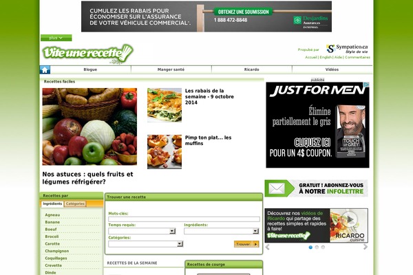 Vilva theme site design template sample