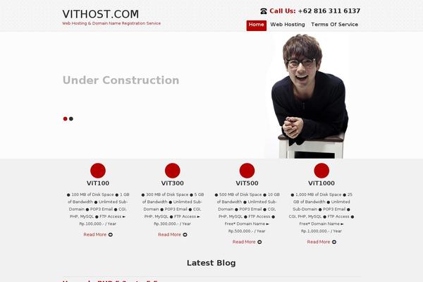 SKT IT Consultant theme site design template sample