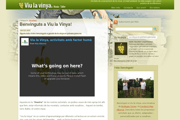 WordPress website example screenshot